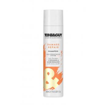 Toni&Guy Şampuan Yıpranmış Saçlar İçin 250 ml